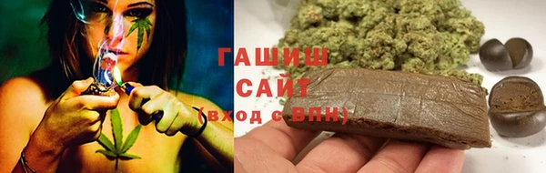 ГАЛЛЮЦИНОГЕННЫЕ ГРИБЫ Бородино